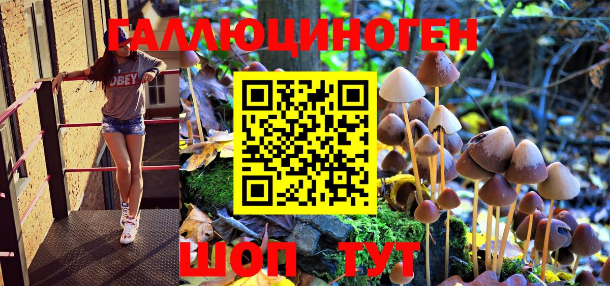 Галлюциногенные грибы GOLDEN TEACHER  Псилоцибиновые грибы мицелий  Кингисепп  купить  сайты  Вход с VPN 